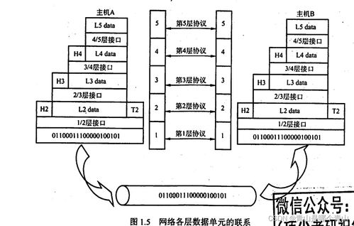 计算机网络 计算机网络体系结构